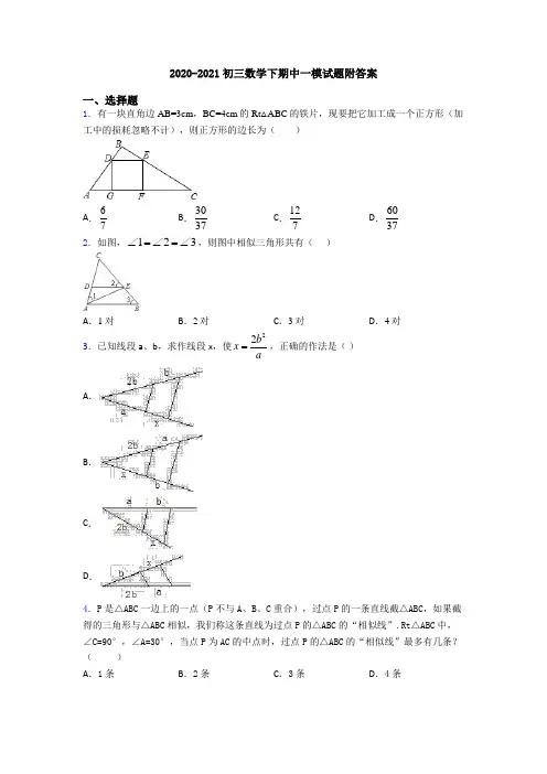 2020-2021初三数学下期中一模试题附答案