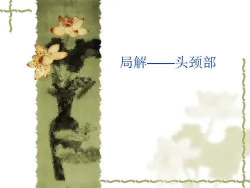 局部解剖学—头颈部