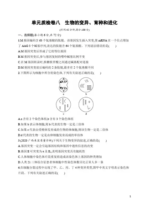 高中生物总复习单元质检卷及答案8 生物的变异、育种和进化