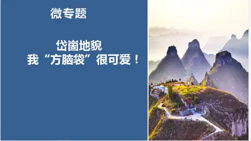 高考地理二轮复习课件岱崮地貌