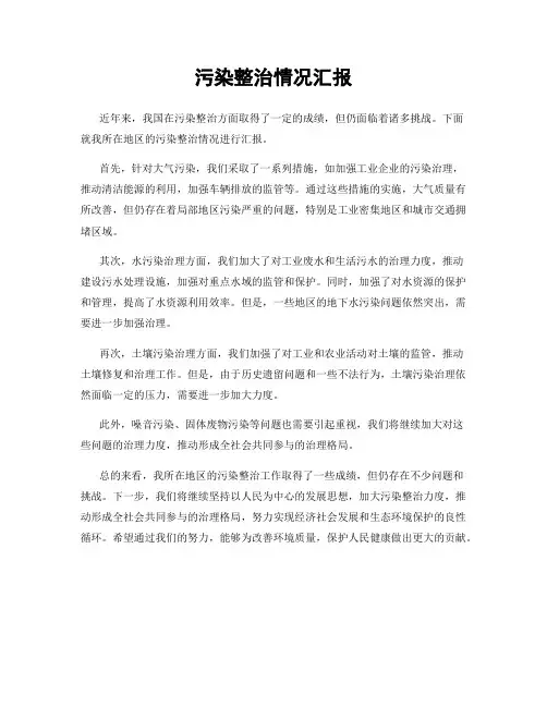 污染整治情况汇报
