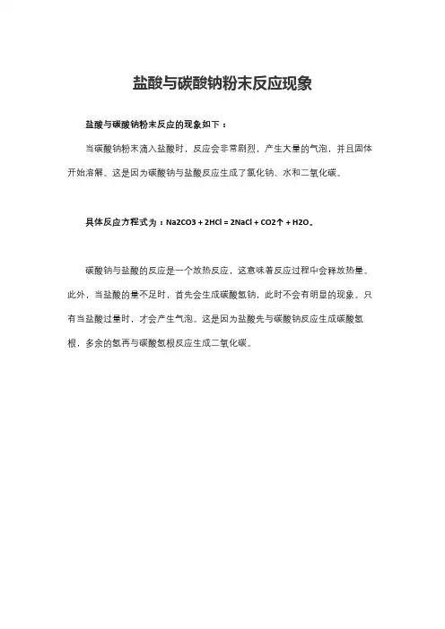 盐酸与碳酸钠粉末反应现象