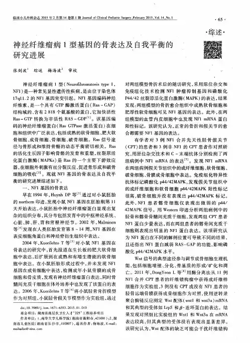 神经纤维瘤病1型基因的骨表达及自我平衡的研究进展