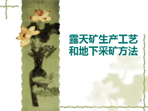 露天矿工艺和地下采矿方法 PPT课件