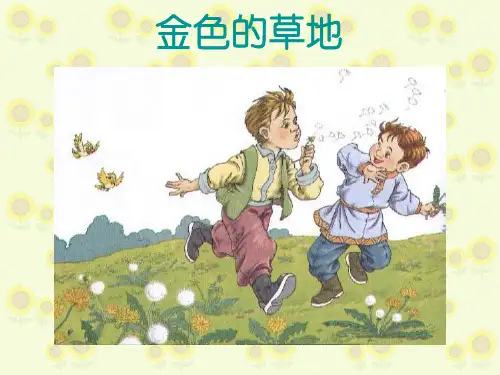 金色的草地PPT课件