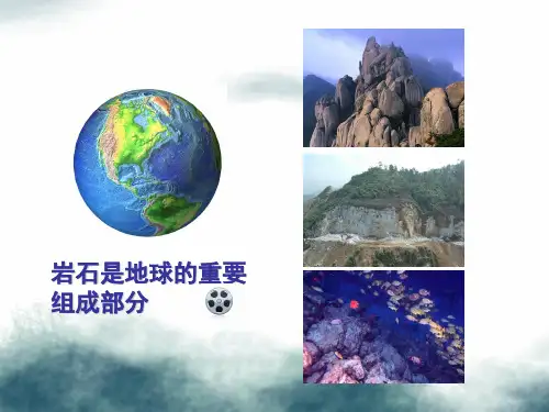 四年级科学下册4岩石和矿物1各种各样的岩石课件4教科版
