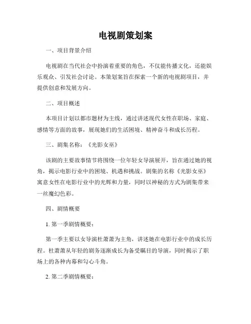 电视剧策划案