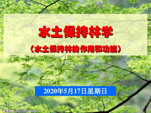 水土保持林学第一章