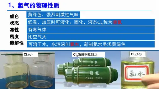 氯气精品课件