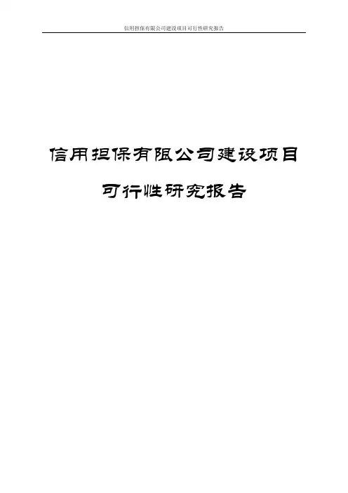 信用担保有限公司建设项目商业计划书