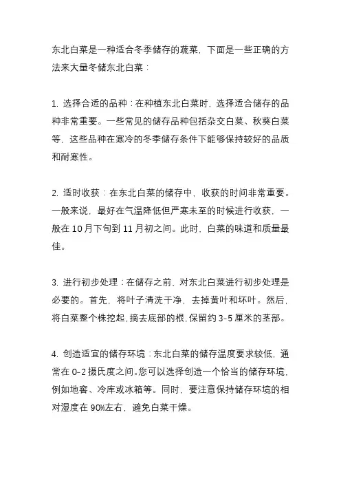 东北白菜大量冬储的正确方法？