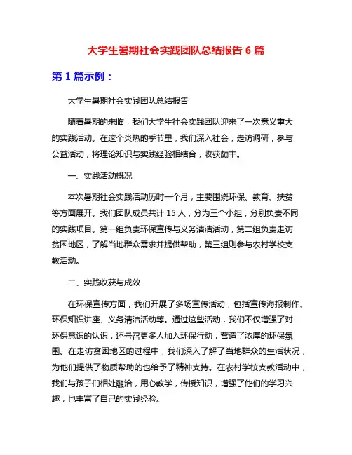 大学生暑期社会实践团队总结报告6篇