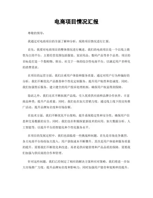 电商项目情况汇报