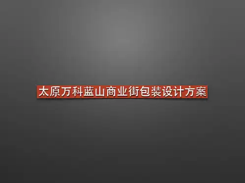 太原万科蓝山商业街包装设计方案