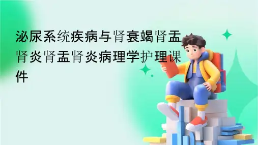 泌尿系统疾病与肾衰竭肾盂肾炎肾盂肾炎病理学护理课件