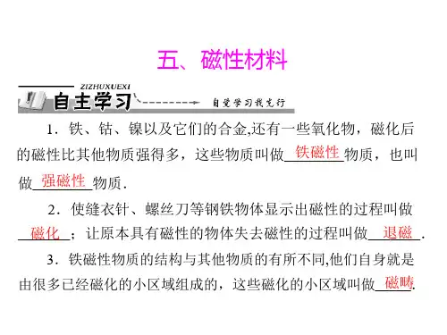 磁性材料ppt课件可编辑全文