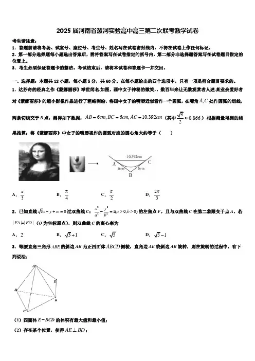 2025届河南省漯河实验高中高三第二次联考数学试卷含解析2