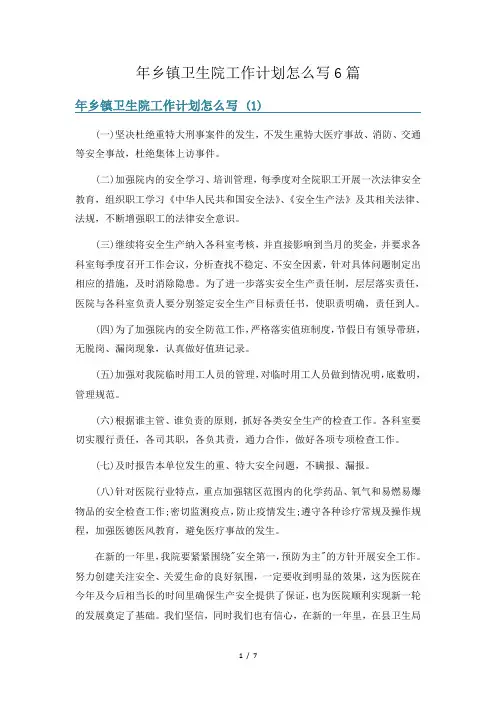 年乡镇卫生院工作计划怎么写6篇
