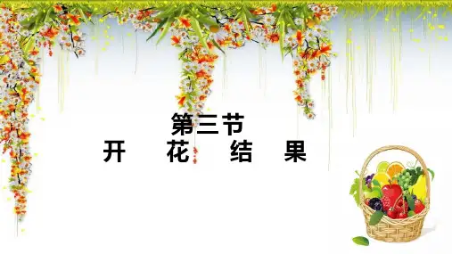 开花结果ppt课件