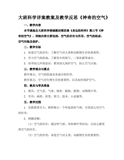 大班科学详案教案及教学反思《神奇的空气》