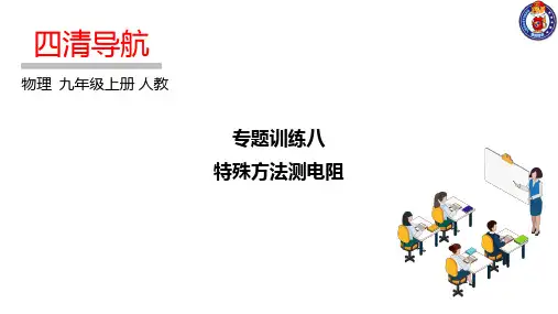 专题训练八 特殊方法测电阻