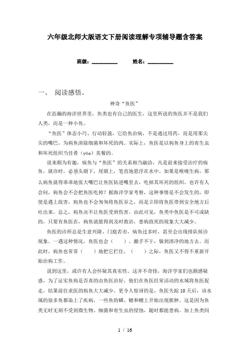 六年级北师大版语文下册阅读理解专项辅导题含答案