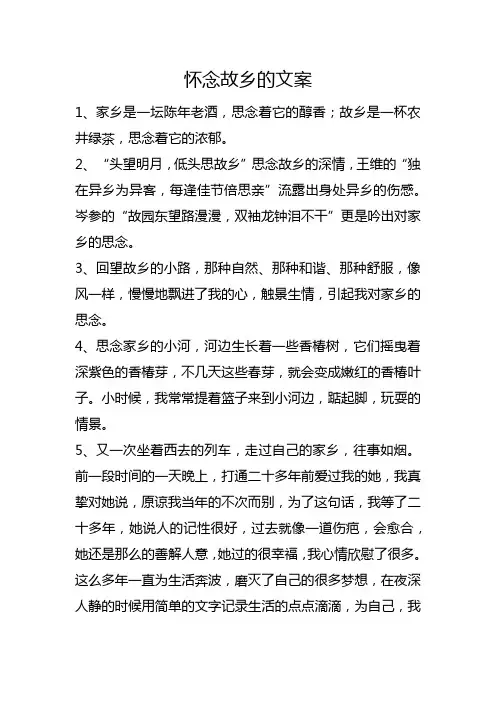 怀念故乡的文案