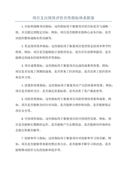 项目支出绩效评价共性指标体系框架