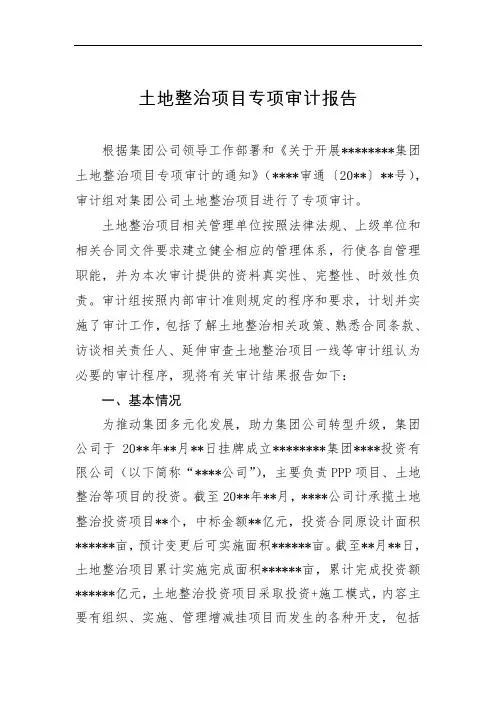 企业投资土地整治项目专项审计报告