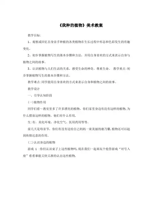 《我种的植物》美术教案