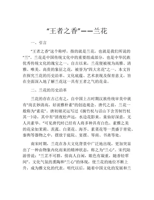 “王者之香”——兰花