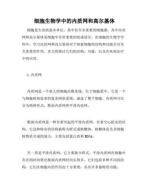 细胞生物学中的内质网和高尔基体