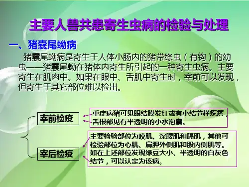 屠宰畜禽常见寄生虫病的检验与处理