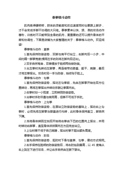 泰拳格斗动作