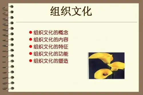 组织文化