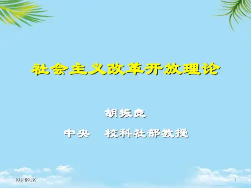 【精】社会主义改革开放理论最全版