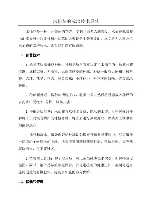水仙花的栽培技术最佳