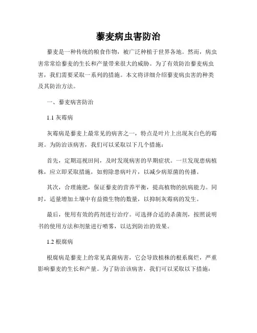 藜麦病虫害防治