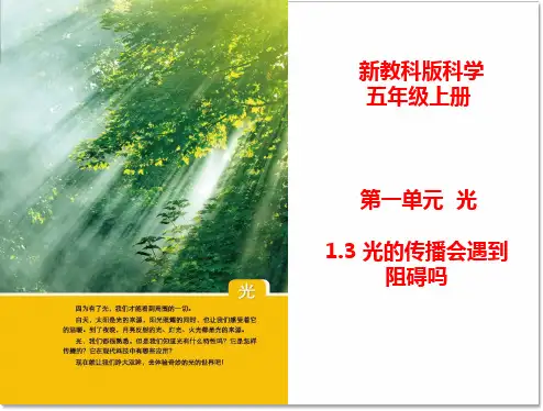 新教科版五年级科学上册《光的传播会遇到阻碍吗》ppt教学课件