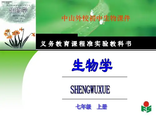 光对鼠妇生活的影响ppt课件