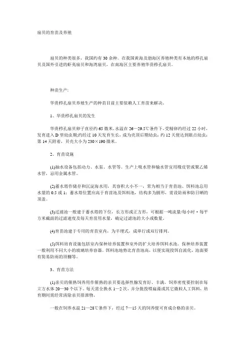 扇贝的育苗及养殖