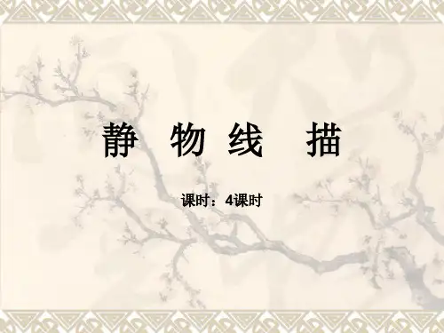 第3节 静物线描