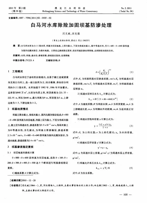 白马河水库除险加固坝基防渗处理