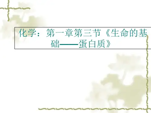 人教版高中化学选修1第1章第3节生命的基础——蛋白质(共23张PPT)