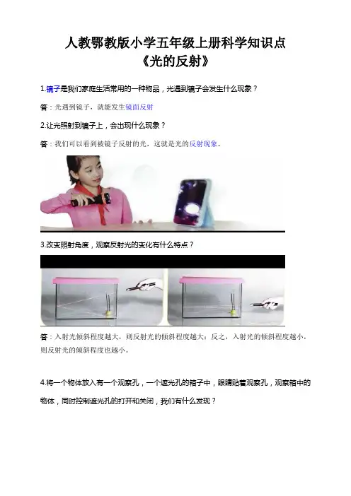 人教鄂教版小学五年级上册科学知识点《光的反射》