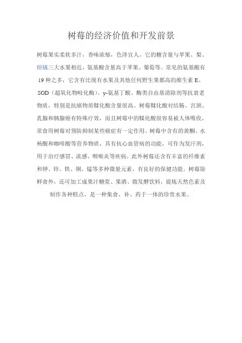 树莓的经济价值和开发前景