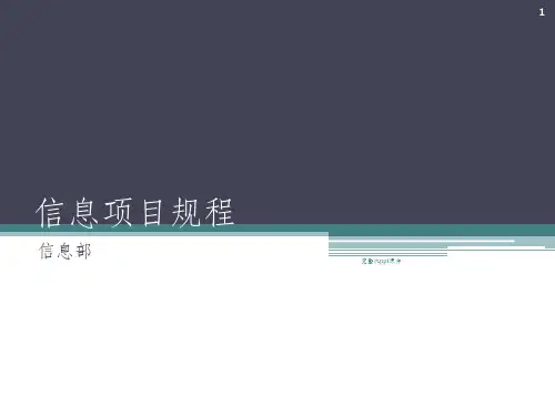 信息化项目规程流程图ppt课件