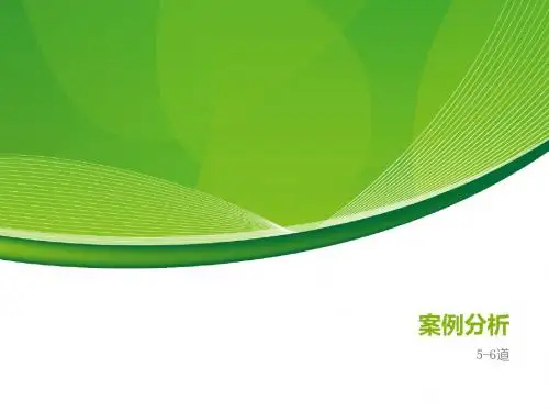 Lehman5-6  雷曼兄弟案例分析