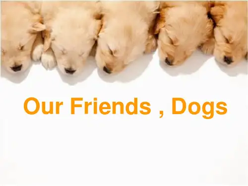 dogs.ppt