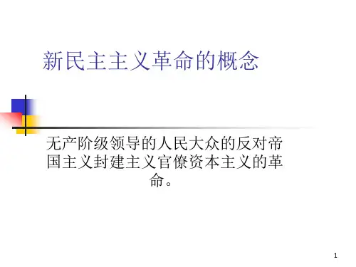一轮复习新民主主义革命的兴起ppt课件